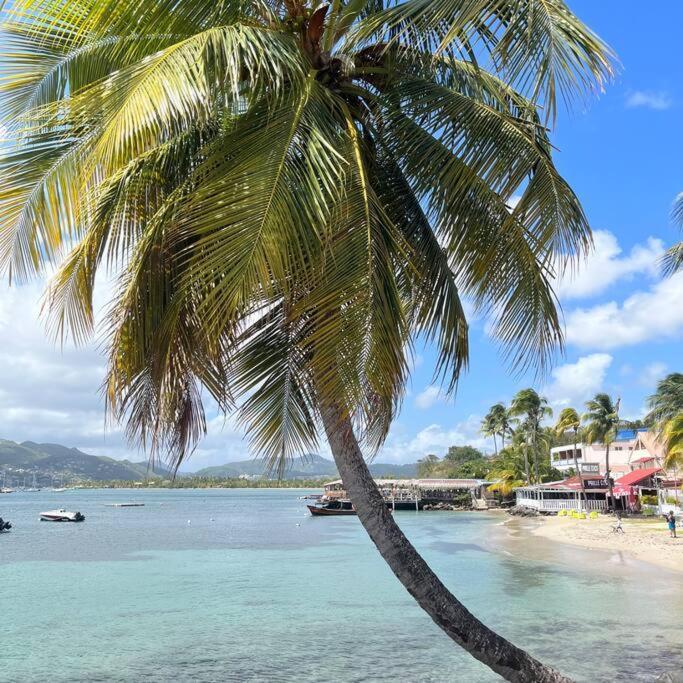 Studio La «Kaz' A Coco» Anse Caritan Sainte-Anne Exterior photo